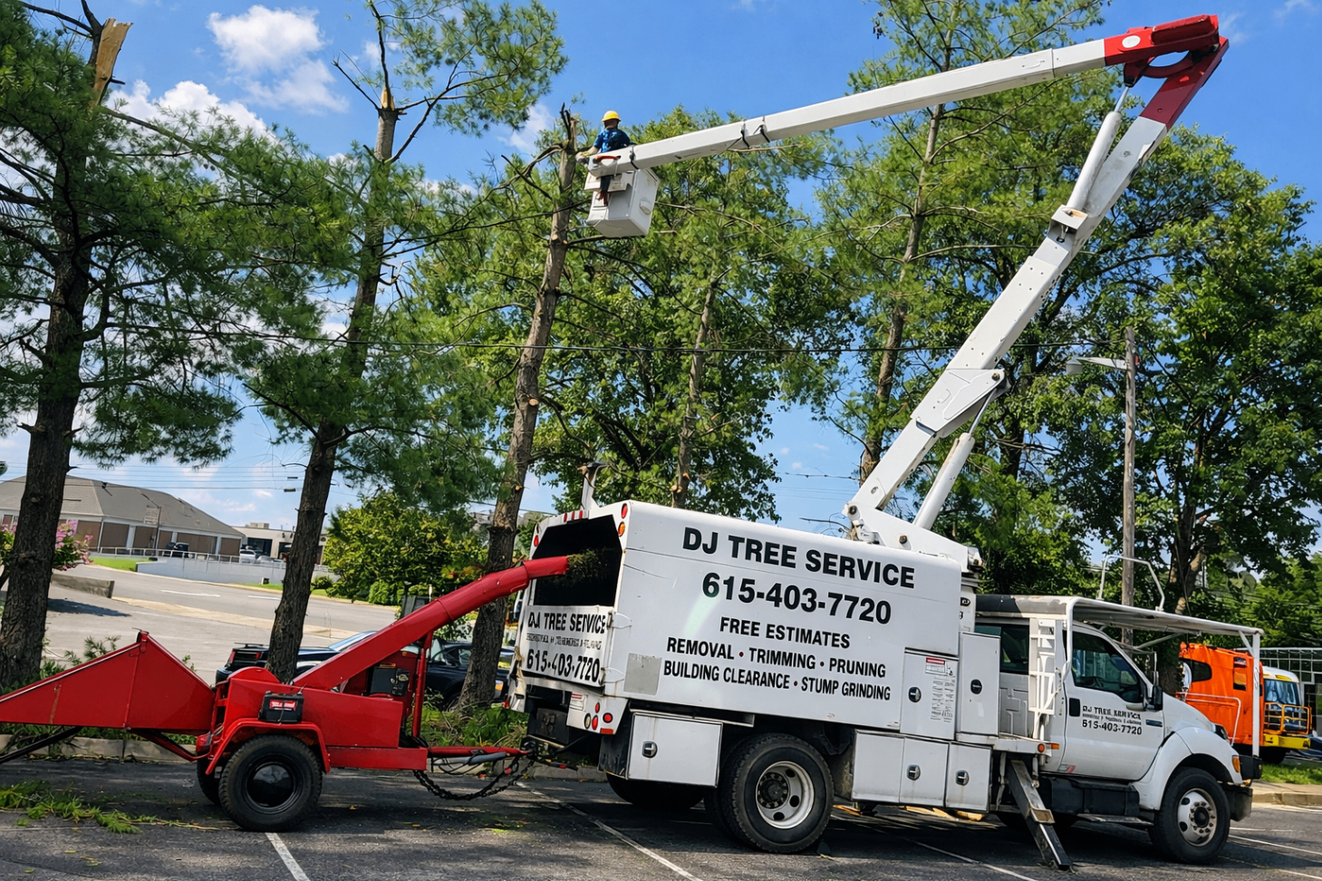 Bucket truck and red chipper working together at a tree care site