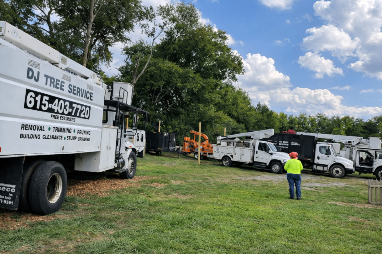 Wide view of multiple DJ Tree Service trucks and equipment parked in the yard