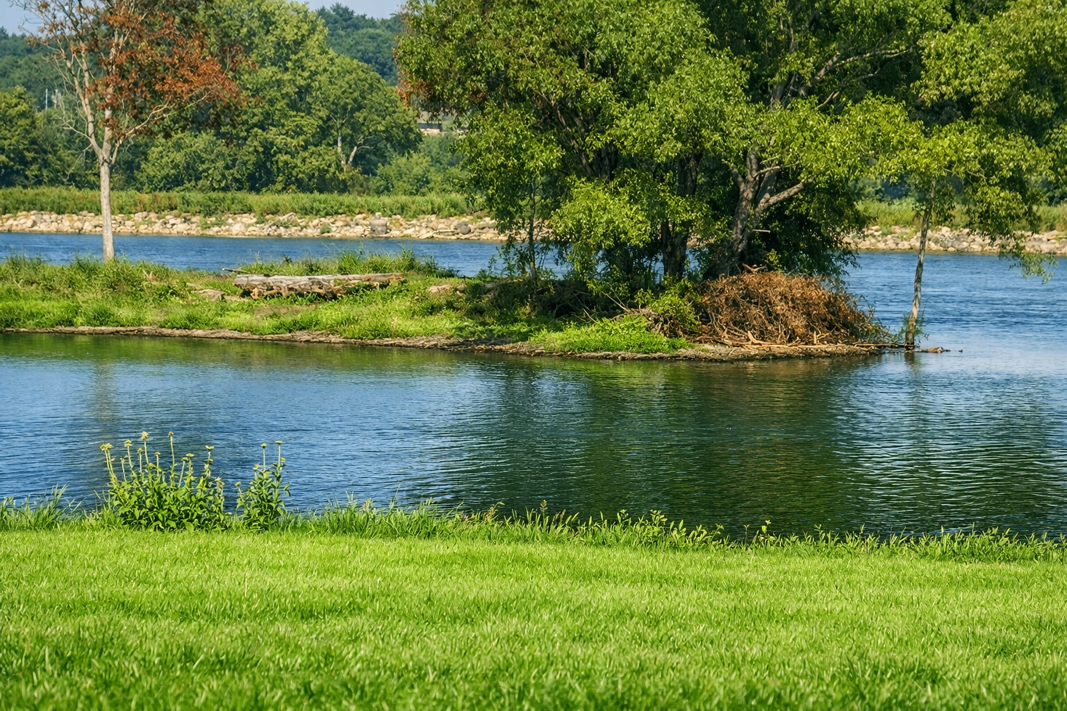 Calm riverside landscape bordering the work site
