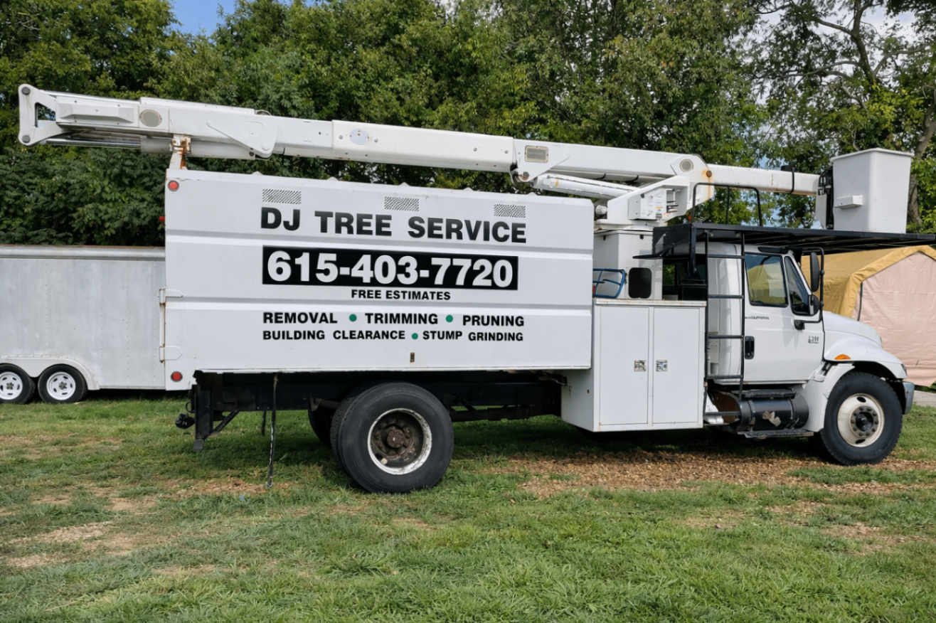 Side profile of a DJ Tree Service service truck on grass
